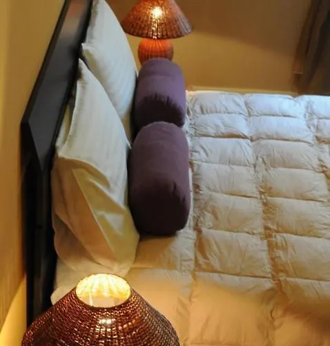 Quo Vadis Arena * Verona