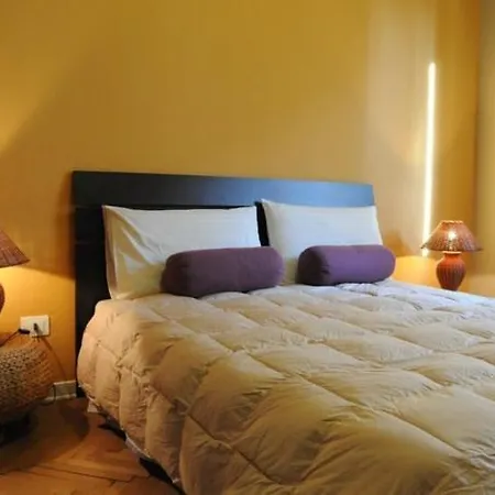 Quo Vadis Arena Верона